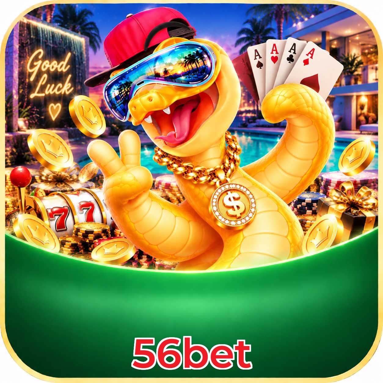56bet Avaliações
